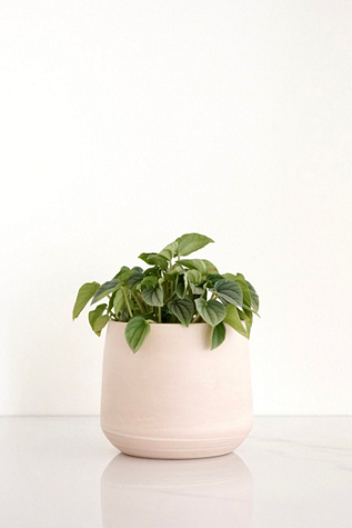 Ren Vois Blush Marble Planter