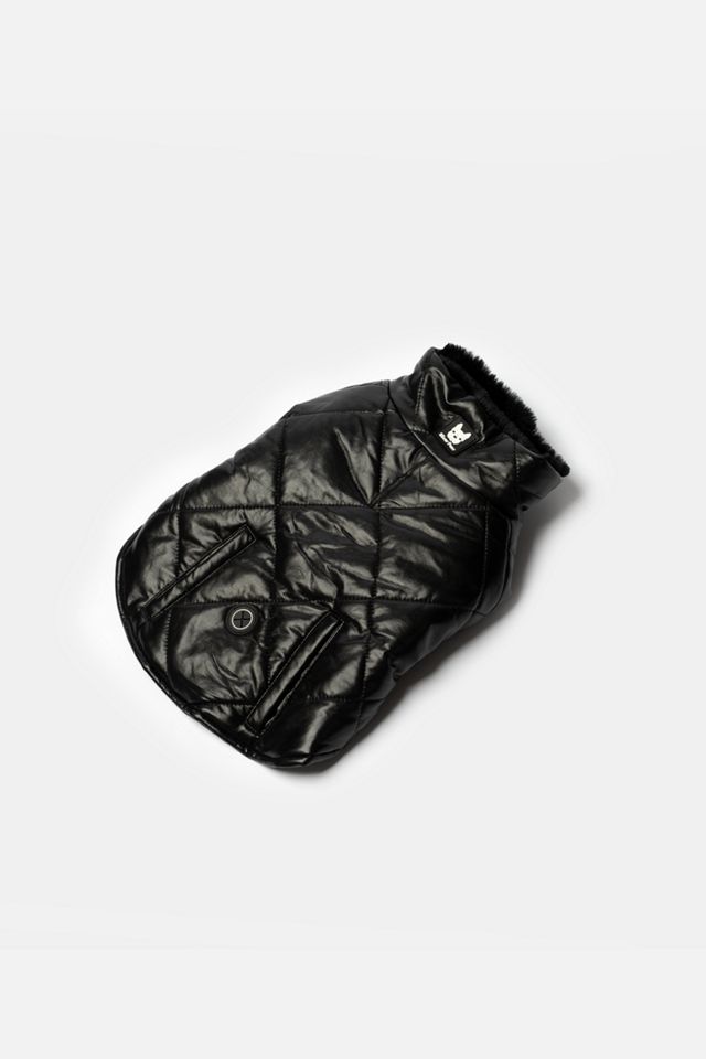Silver Paw Phoenix Dog Jacket #1
