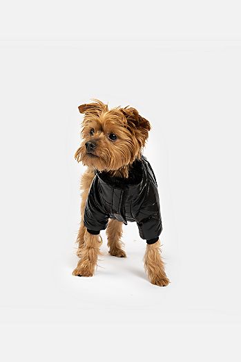 Barbour Wax Dog Coat | Free People Barbour Wax Dog Coat | Free People
