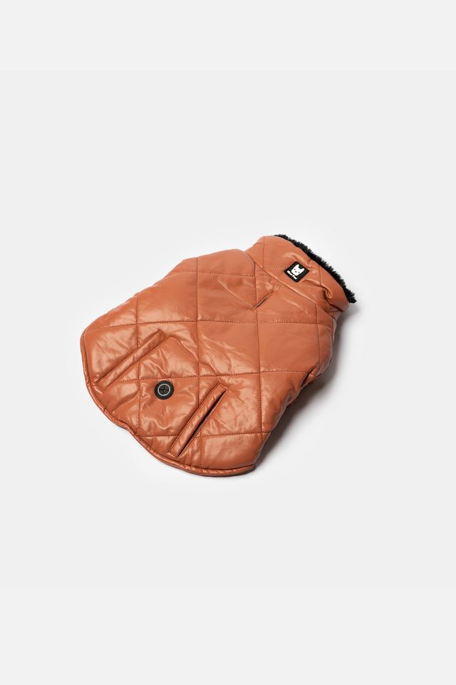 Silver Paw Phoenix Dog Jacket #1