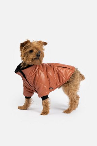 Silver Paw Phoenix Dog Jacket