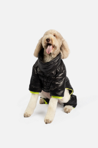 Silver Paw Whistler Full Body Dog Snowsuit at Free People in Black, Size: 3XL