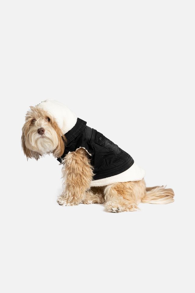 Silverpaw dog clearance coat