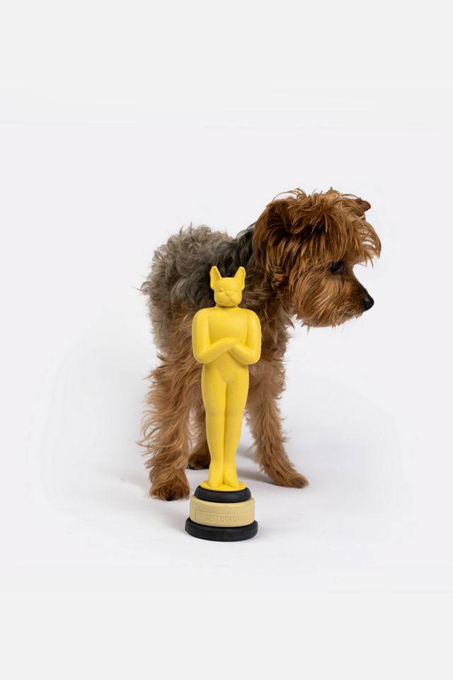 Silver Paw Award Dog Toy #1