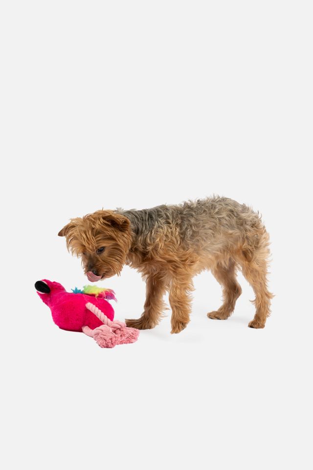 Silver Paw Flamingo Dog Toy #1
