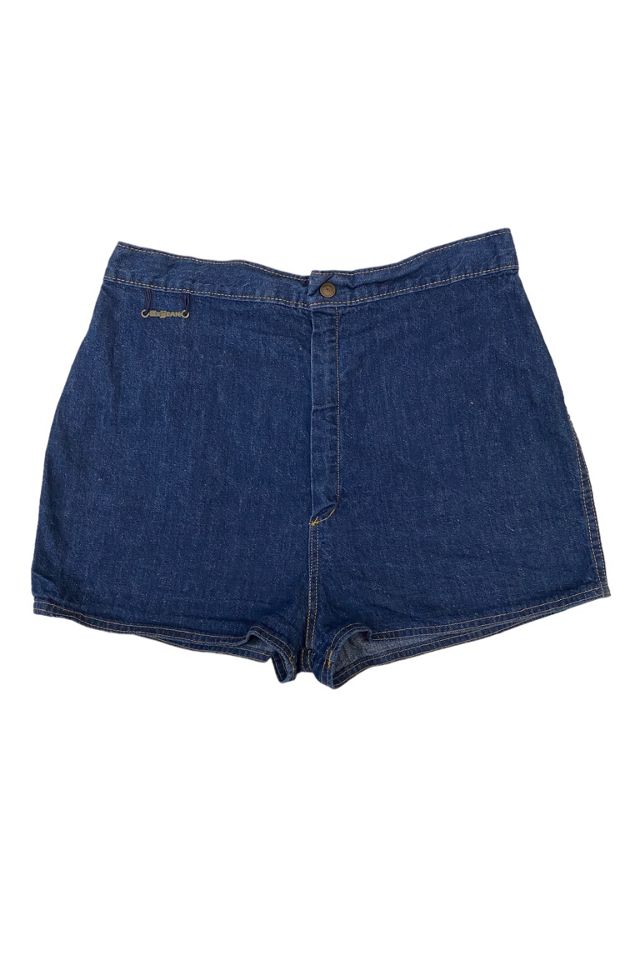 Vittig glas kaustisk 1970s Vintage Le Jean Denim High Waisted Shorts Selected by BusyLady Baca &  The Goods | Free People