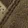 Loden Green / Gum