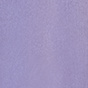 Lavender Fields