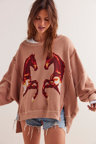 Sweatshirts + Hoodies for Women | Free People