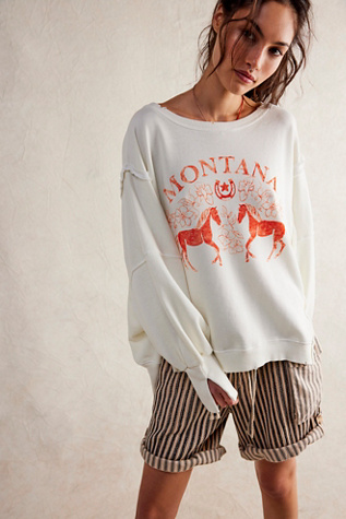 We The Free Graphic Camden Pullover at Free People in Coconut Combo Montana, Size: Medium