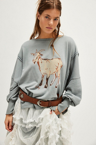 We The Free Graphic Camden Pullover At Free People In Goat Combo, Size: XS