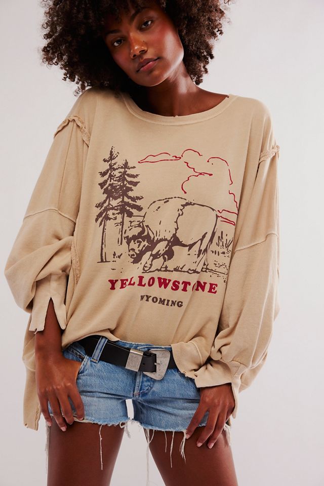Sweat à capuche Camden Henley We The Free Free People FR