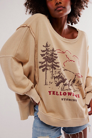 We The Free Graphic Camden Pullover at Free People in Yellowstone Bison, Size: Small