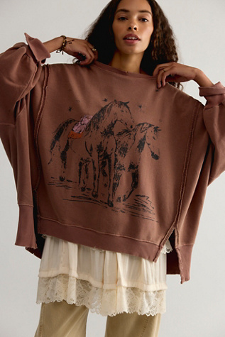 We The Free Graphic Camden Pullover