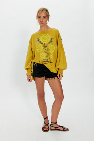 We The Free Graphic Camden Pullover - thumbnail 6
