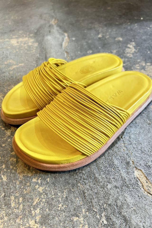 Mustard best sale color slides