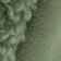 Sage