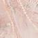 Rose pâle
