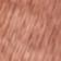 Raw Umber