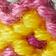 Sunshine Yellow