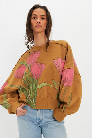Gaia Sweatshirt at Free People in Tulip Brown Combo, Size: XS