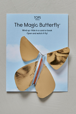 The Magic Butterfly