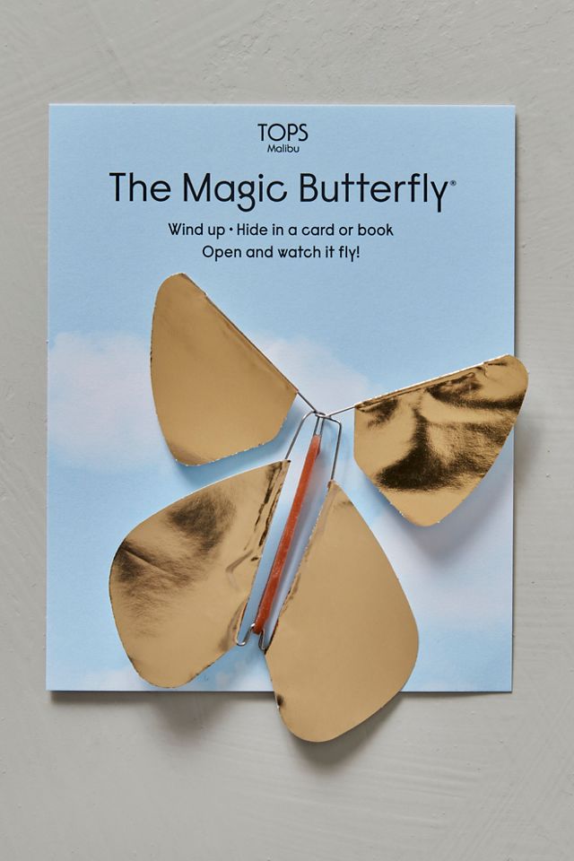Le Papillon Magique #1