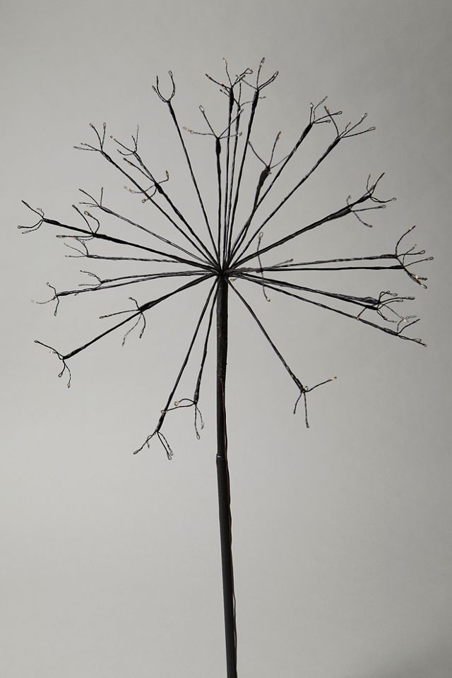 Dandelion Solar Light