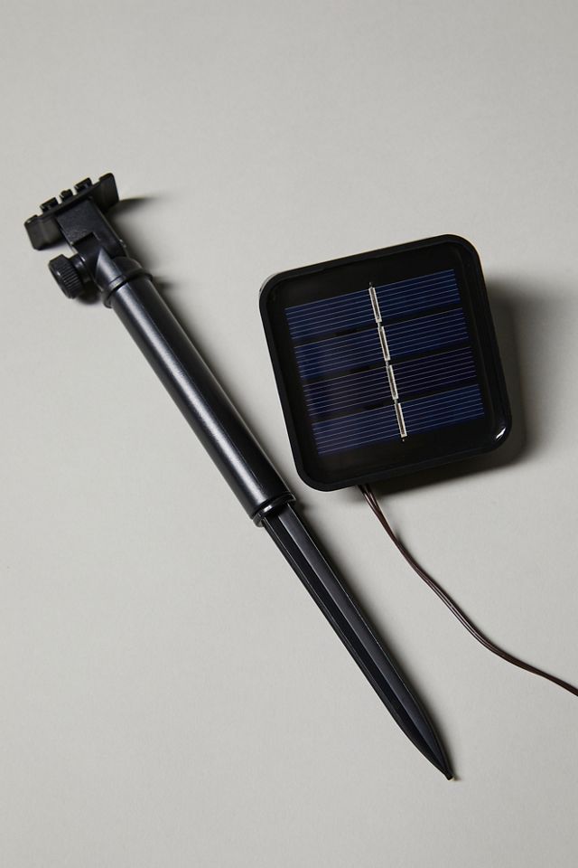 Dandelion Solar Light #1