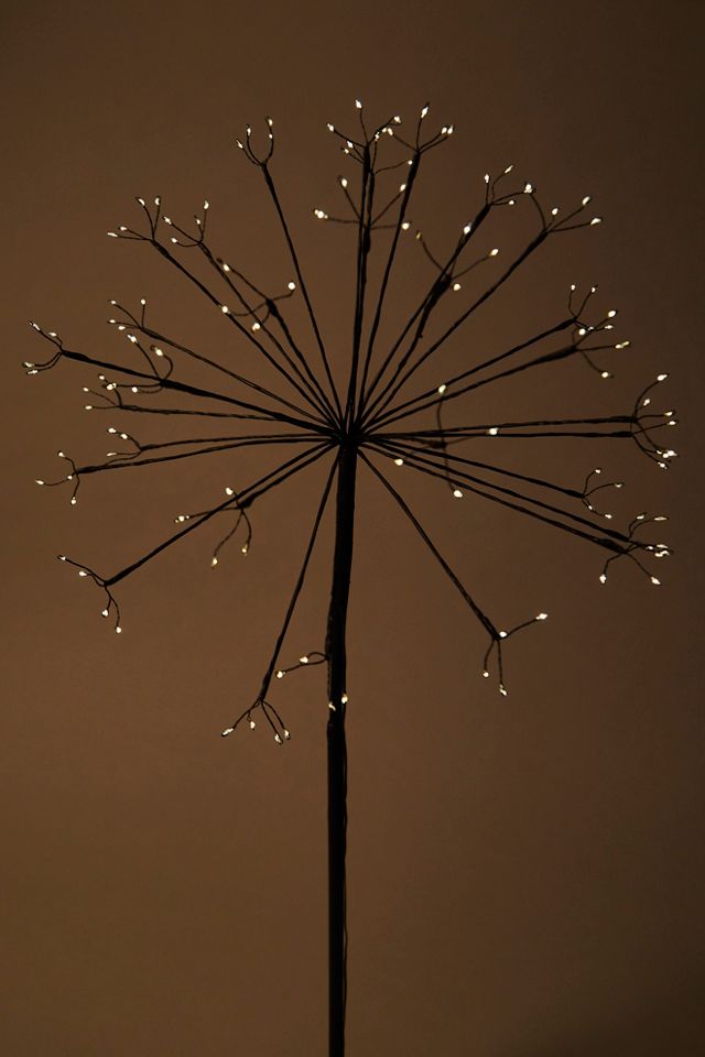 Dandelion Solar Light #2