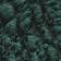 Pine