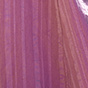 Mauve Orchid