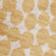 Dancing Dots - Squash Blossom