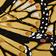 Butterfly Yellow