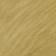 Dried Palm