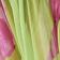Lime Anthurium