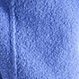 Blue Iris