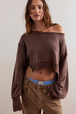 We The Free Camden Cropped Sweatshirt at Free People in Chocolate Love, Size: XL