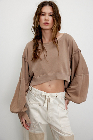 We The Free Camden Cropped Sweatshirt At Free People In Dusted Cocoa, Size: Large