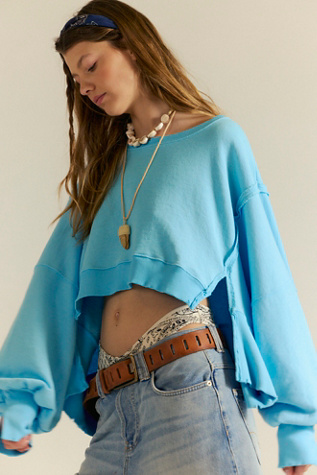 We The Free Camden Cropped Sweatshirt product page