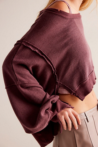 We The Free Camden Cropped Sweatshirt at Free People in Brandy Wine, Size: XL