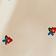Perles de graines