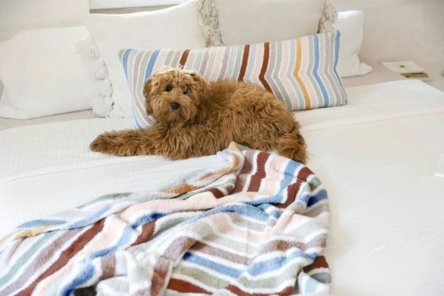 Sunday Citizen Cusco Lumbar Pillow #3