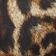 Ocelot