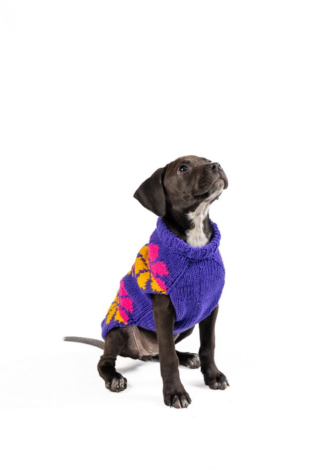 XS Chilly Dog Flower Power Dog Sweater #3