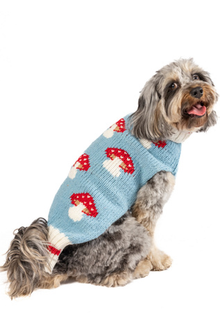 XXL Chilly Dog Mushroom Dog Sweater at Free People in Blue, Size: XL