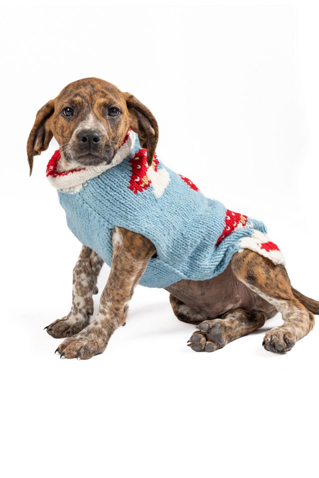 XXL Chilly Dog Mushroom Dog Sweater #2
