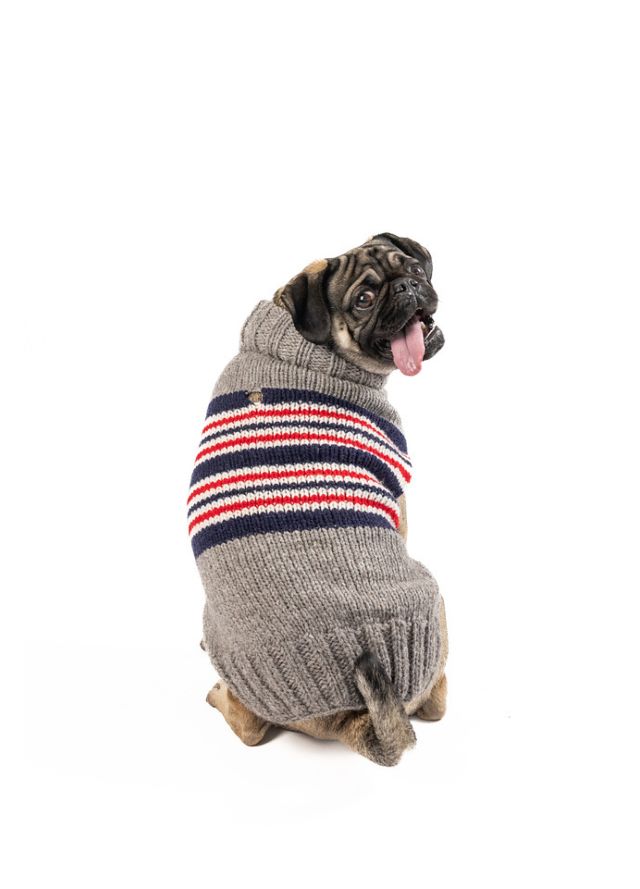 XXS Chilly Dog Charlie Stripe Dog Sweater #1