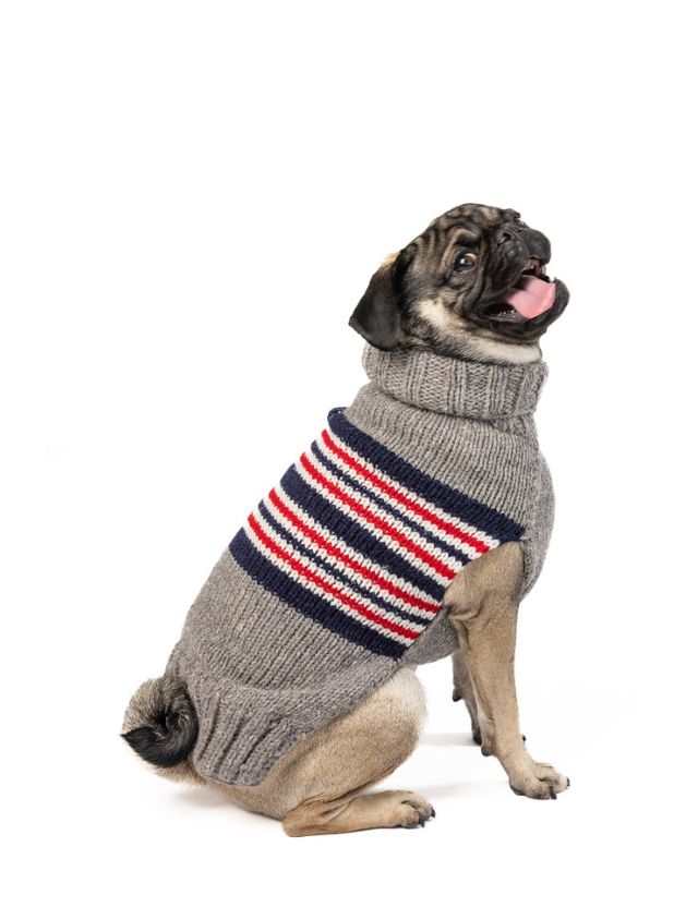XXS Chilly Dog Charlie Stripe Dog Sweater #2
