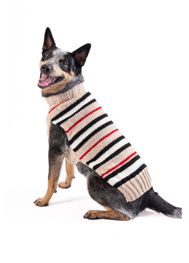 XXXL Chilly Dog Bentley Stripe Dog Sweater #1